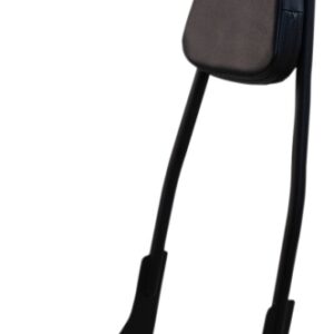 Matte Black One-Piece Tall Rigid Sissy Bar w/Pad