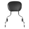 Tall Boy Detachable Sissy Bar Backrest