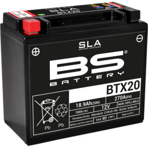 Maintenance-Free Battery