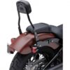 COBRA Black 14 in. Round Detachable Backrest Kit