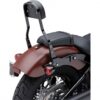 Black Detachable Mini Backrest Kit