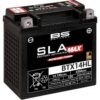 Activated AGM Maintenance-Free Battery - 300883