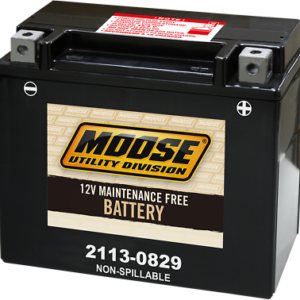 AGM Maintenance Free Battery - CTX20HL (FA