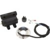 DYNATEK Dual-Fire Ignition Coil Kit